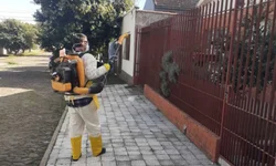 Casal é amarrado e mantido refém em assentamento