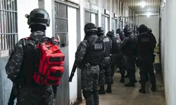 Acinser recomeça a combater o abigeato