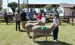 PampaPlus antecipa prazo