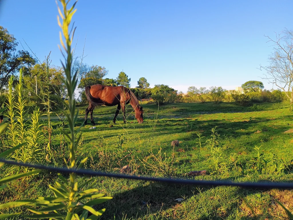 Terra Forte seleciona 27 famílias em Bagé