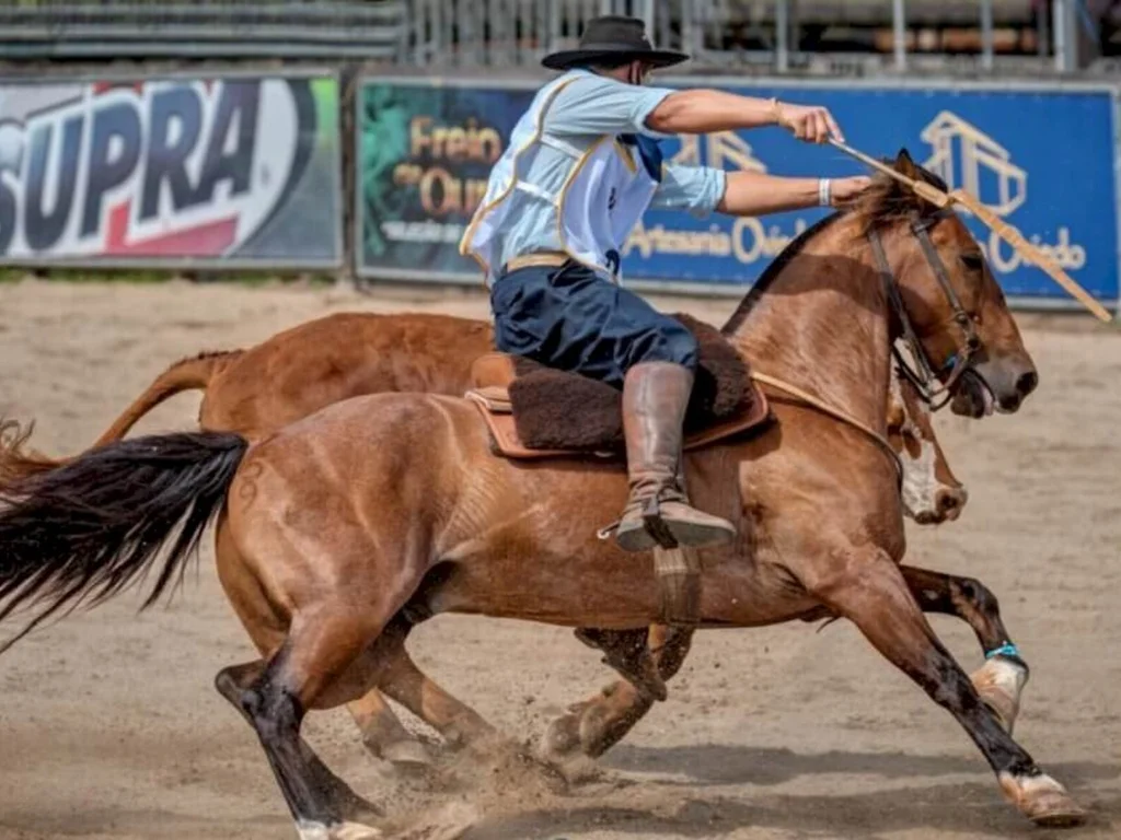Competição leva para pista quem lida com cavalo Crioulo