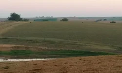 Agricultores familiares podem consultar produtos