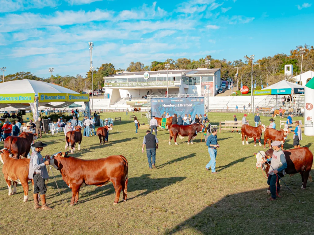 Mundial Braford terá julgamentos e palestras no Parque Assis Brasil