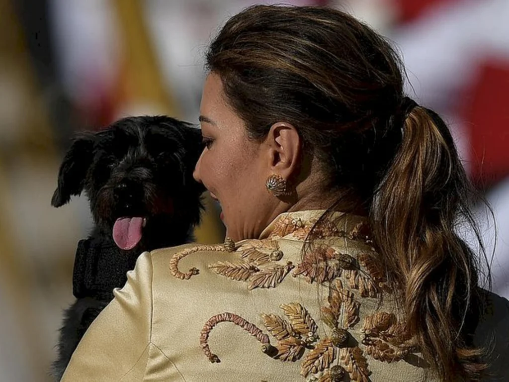 Proteção animal fala sobre cadelinha na posse