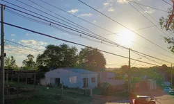 Queda de granizo na região mata 50 pássaros