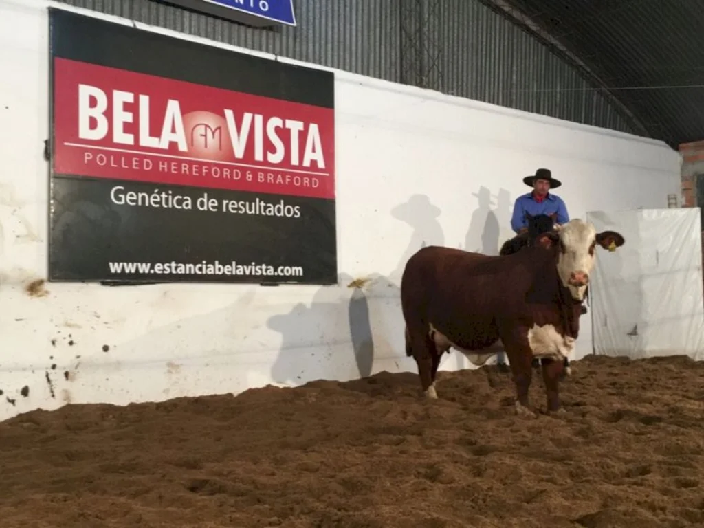 Médias da temporada de primavera superam expectativas