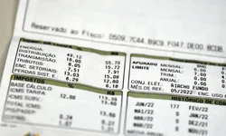 Saúde confirma mais um caso de dengue em Bagé