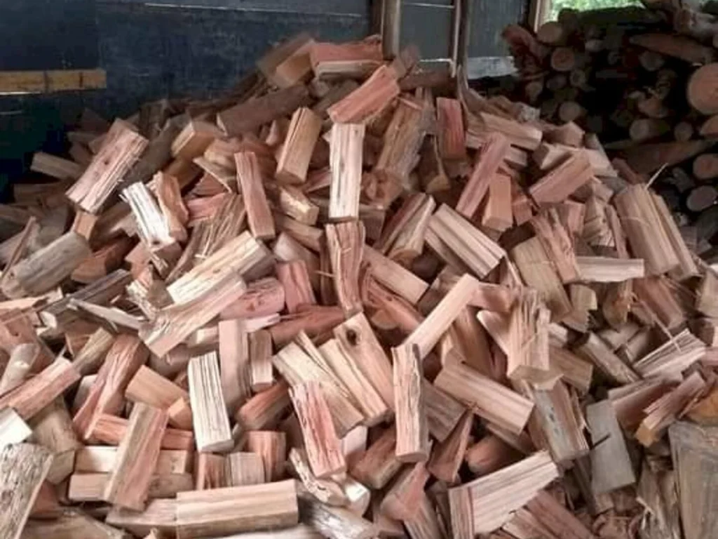 Alerta para tipo de lenha que pode ser vendida