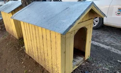 Projeto Casinhas Amarelas é retomado