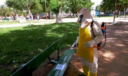 Proclamação da República altera principais serviços