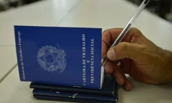 Corte de árvores em praça gera polêmica