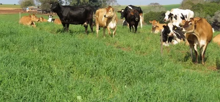 Atividade econômica cresce 2,5% em 2025