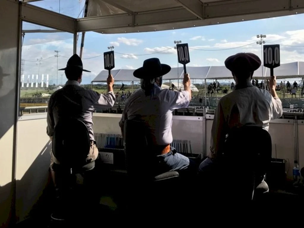 Definidos jurados para classificatória da raça Crioula