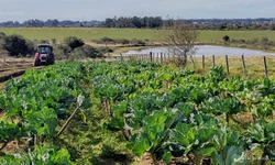 Projeto sobe pena para quem fornece álcool ou drogas a crianças