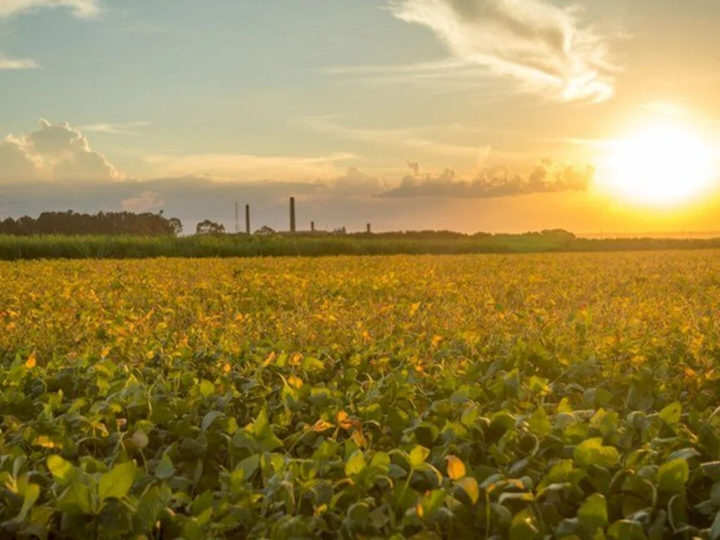 Verão começa com impactos no início da safra