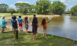 Cooperativismo agropecuário deve apresentar alta no faturamento