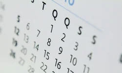 Faltam 40 dias: confira os cargos em disputa na eleição