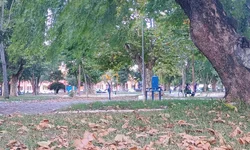 Bagé recebe mutirão para diagnóstico de doenças pulmonares