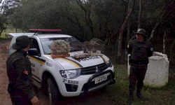 Policiais revelam a face da violência contra menores