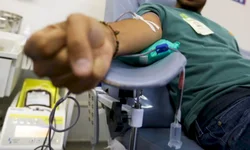 Galeria Edmundo Rodrigues terá exposições simultâneas