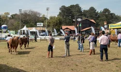 Médias da temporada de primavera devem crescer 20%