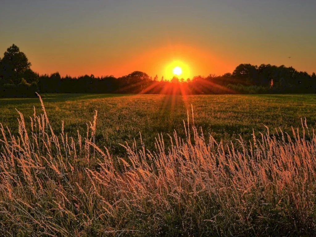Lideranças de expressam sobre o Natal