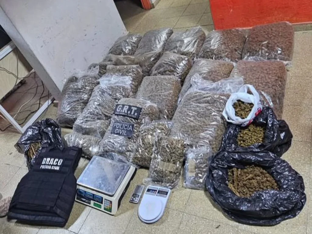 Polícias do RS e uruguaia realizam maior apreensão de skunk em Aceguá