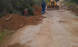 A cultura e a política bageense se despedem de Sapiran Brito