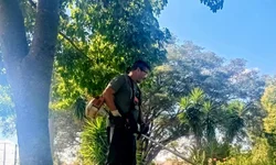Ação leva flores e orquídeas a praça do Mascarenhas de Moraes