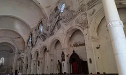 Retomada das castrações pelo município ainda não tem data definida