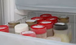 Feriado tem quatro mortes por covid-19