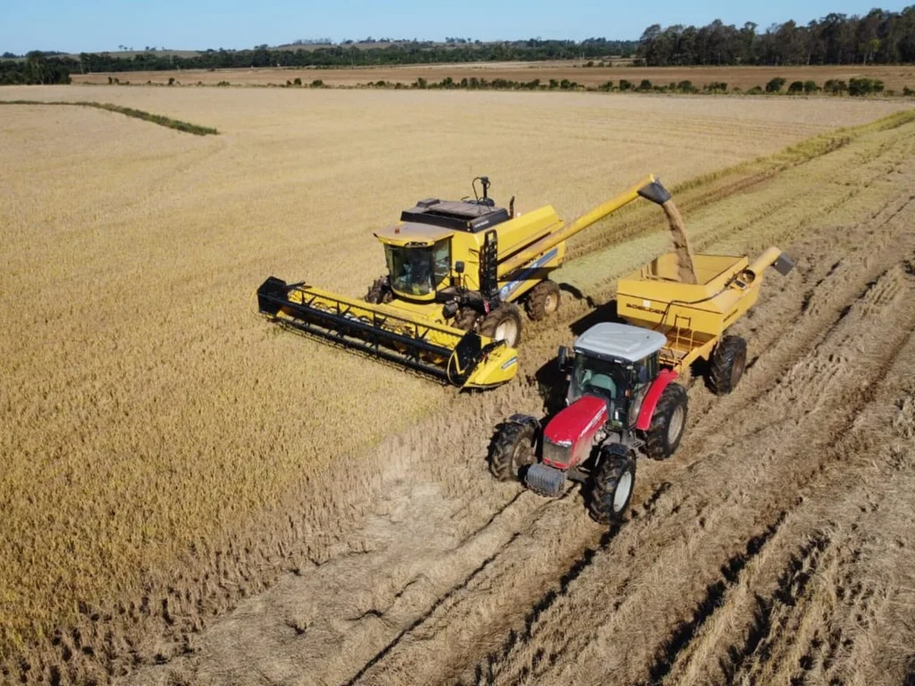 Colheita do arroz é oficialmente encerrada no Estado