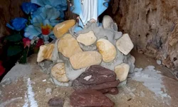 Educação domiciliar pode se tornar realidade