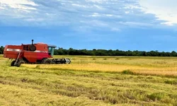 Governo gaúcho irá aportar recursos para agricultores