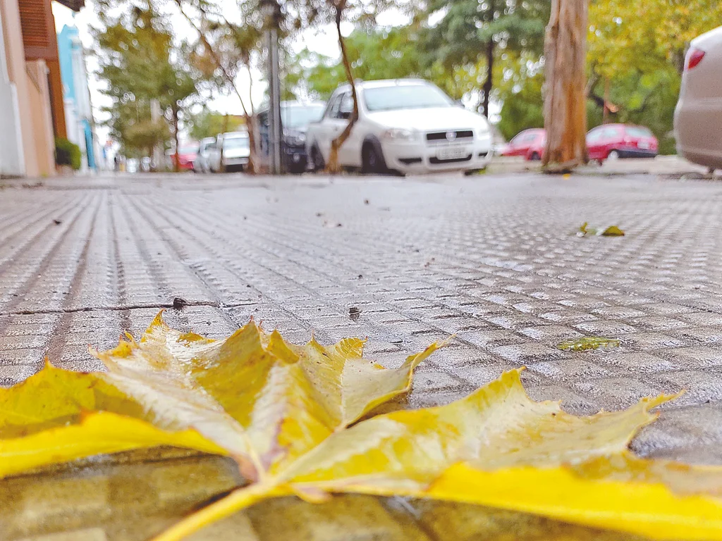 Outono de 2025 começa com condições neutras no Pacífico, sem El Niño ou La Niña