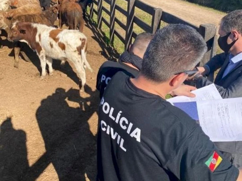Investigação resulta em apreensão de quase 13 mil bovinos