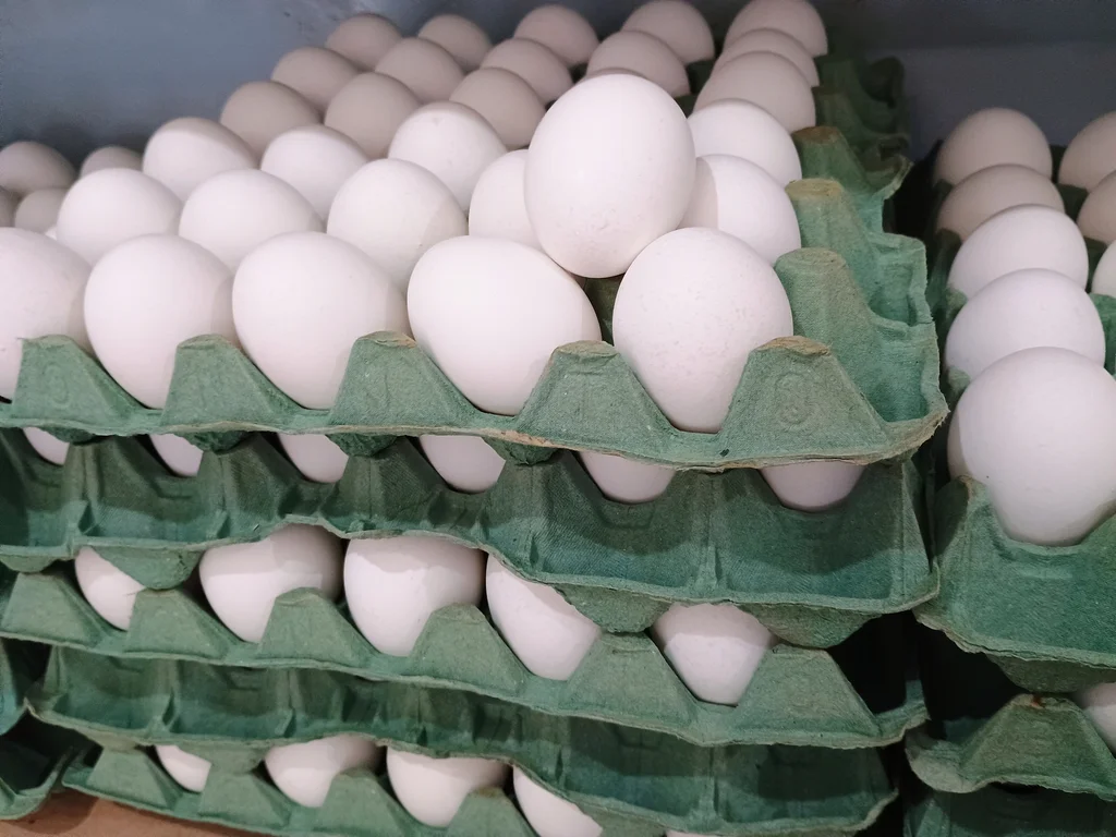 Preço do ovo e do café recua; arroz e feijão atingem menor valor em 12 meses