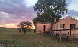 Palmas enfrenta constantes quedas de luz e impactos no cotidiano