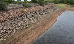 Bete Infantini é a homenageada do aniversário do IMBA