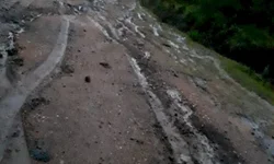 PDT quer eternizar Darcy Ribeiro no Panteão da Pátria