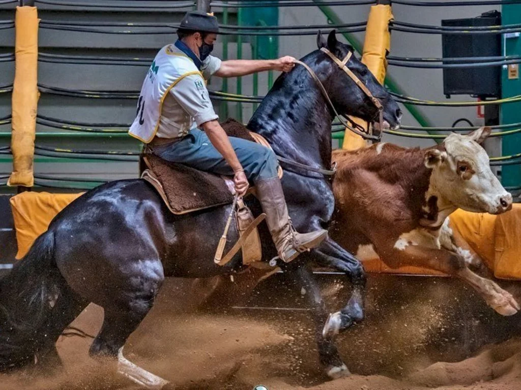 Região se destaca em credenciadora ao Freio de Ouro