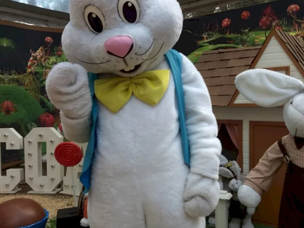 Feriado: Reflexão e diversão