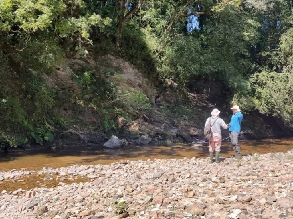 Pesquisadores identificam alta concentração de terras raras em Caçapava do Sul