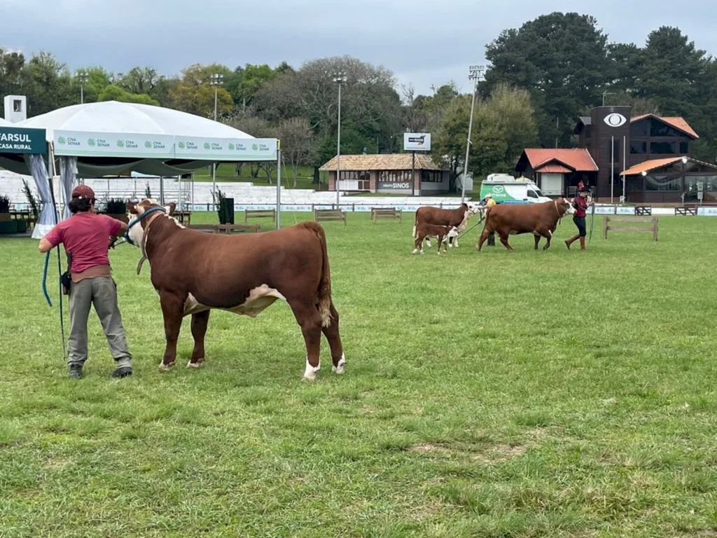 ANC abre inscrições de exemplares para a Expointer 2022