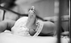 Estado recebe 356 mil doses da vacina contra a gripe