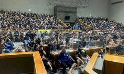 Quebra na lavoura do milho chega a 60% na região