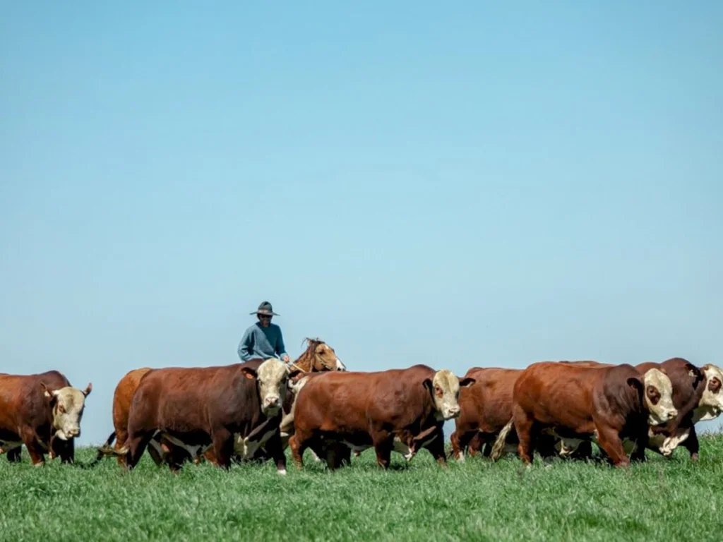 Lideranças falam sobre a participação de Bagé na Expointer