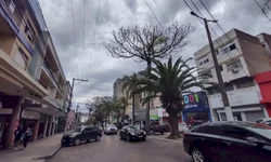 Equipe da Frei Plácido faz vaquinha on-line