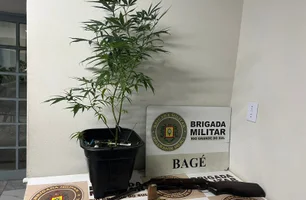 Homem é preso com pé de maconha e arma