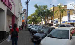 Estado já contabiliza 19 mortes por dengue